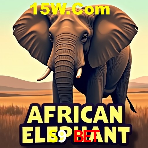 A Experiência Imersiva dos Cassinos Ao Vivo no S9 Bet